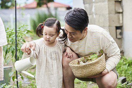 在花园种植蔬菜的家庭图片