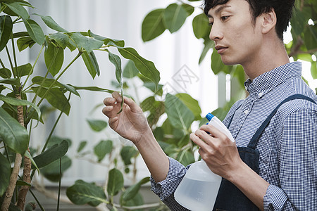 在一家花店工作的人图片