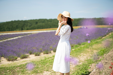 北海道花田年轻美女花田游玩背景