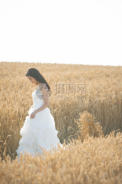 田地金色一人婚礼肖像北海道图片