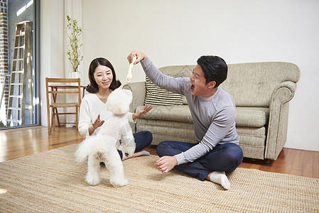 室内可爱宠物狗的一家人快乐生活图片