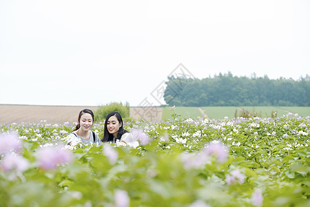 20多岁二十几岁肖像妇女北海道花园图片