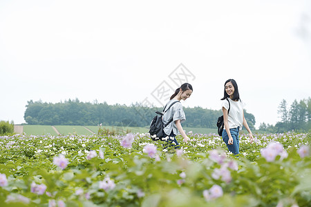 女高中生花田开心旅行形象高清图片