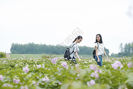 女高中生花田开心旅行形象图片