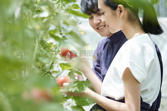 青年农场农舍男人和女人耕种房子耕种图片