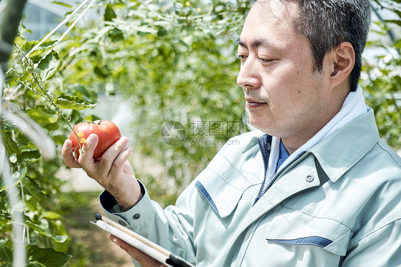 一人平板it男聪明的农业房子耕种图片