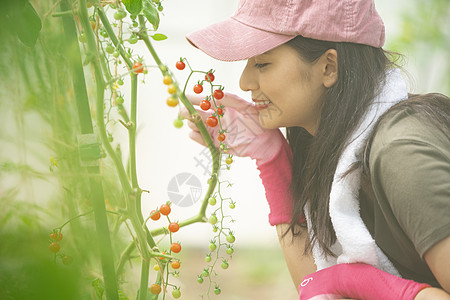 乡村生活商务小西红柿女农业图片