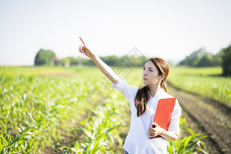 女士买家北海道女农业业务图片