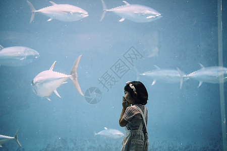 幼儿游泳的水族馆儿童女孩图片