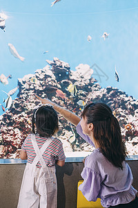 家人父母和小孩两个人水族馆家庭图片