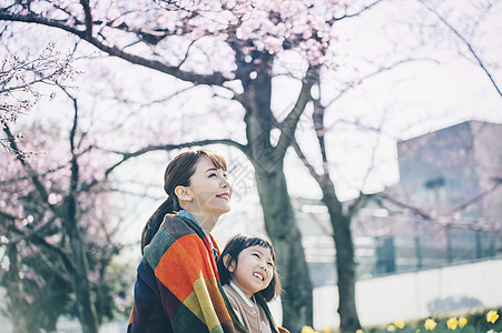 清澈女樱桃树樱花春天父母和孩子图片