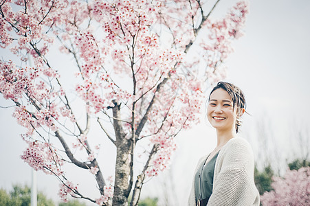 春天里的樱花美女图片