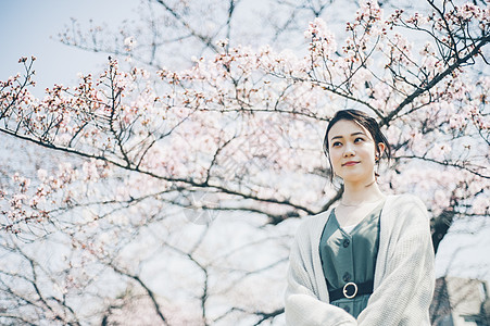 出门户外赏樱的女人背景