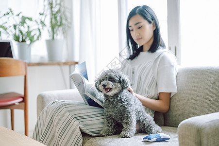 宠物坐下度假生活与狗女人图片