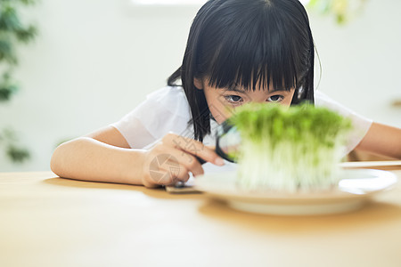 研究项目记录的女孩研究图片