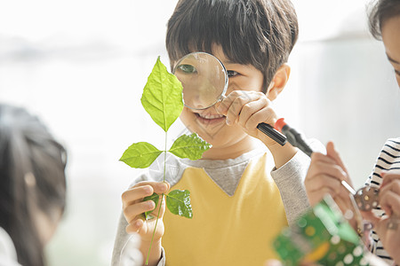 小男孩用放大镜观察绿植图片