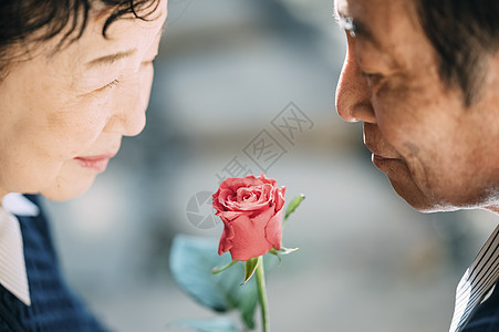 清新礼物女士年长的夫妇献花图片