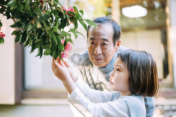 复制空间外祖父两个人爷爷和孙子的生活方式图片