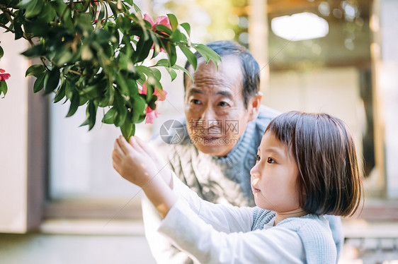 空白部分放松玩爷爷和孙子的生活方式图片