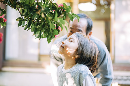 愉快芬芳努力获取爷爷和孙子的生活方式图片