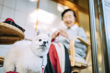 一对年长夫妇的退休生活图片