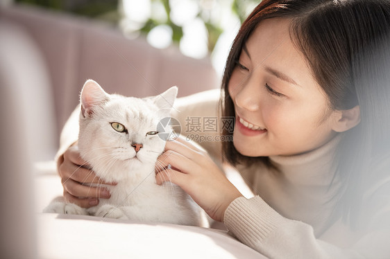 女人毛衣生机勃勃和猫一起生活的年轻女子图片