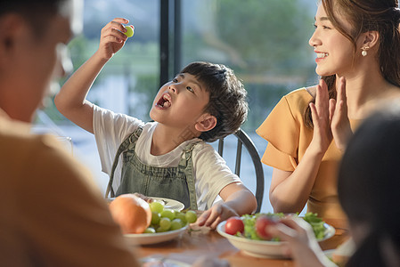 一家人其乐融融的在餐桌上吃饭图片