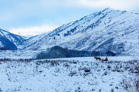 新疆喀纳斯冬日雪景图片