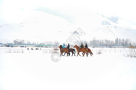 冬日新疆伊宁5A景区那拉提草原雪地上骑马少年图片