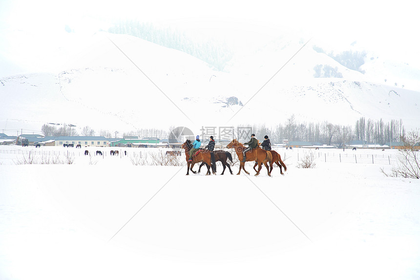 冬日新疆伊宁5A景区那拉提草原雪地上骑马少年图片