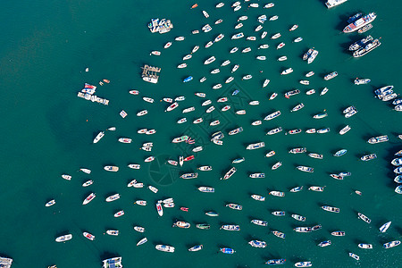 青岛海上游艇图片