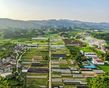 人参种植基地春耕农田农业种植基地背景