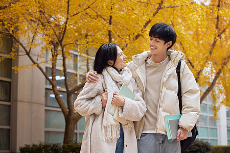 看书的女生银杏树下的大学生情侣背景