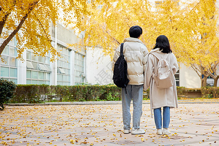 青年大学习大学校园里的情侣背影背景