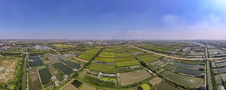 湖南岳阳洞庭湖鱼米之乡全景图背景