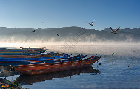 小船与海鸥泸沽湖风光背景