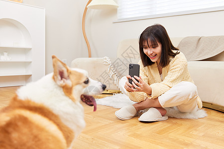 女性在家使用手机给宠物狗拍照图片