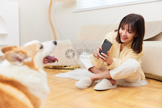 女性在家使用手机给宠物狗拍照图片