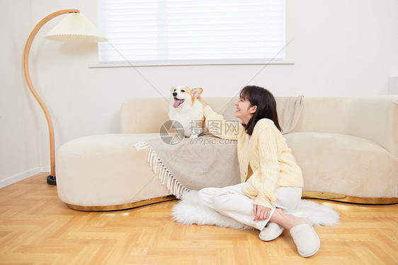 宠物犬和主人开心玩耍图片