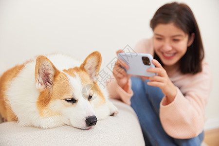 女主人使用手机给宠物狗拍照图片