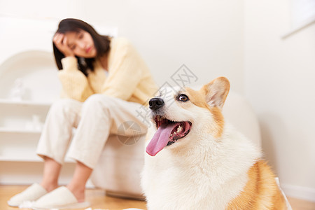 看着宠物犬表情不开心的女性图片