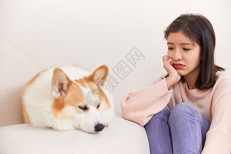 看着宠物犬表情不开心的女性图片