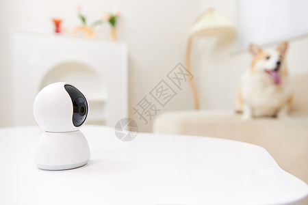 家庭设备使用智能监控设备宠物摄像头背景