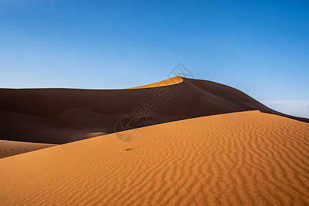 阿拉善沙漠风光图片