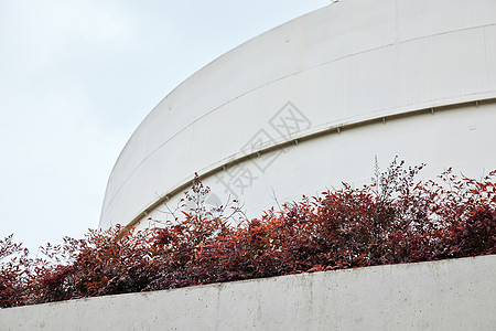 展览馆艺术馆外部建筑特写背景