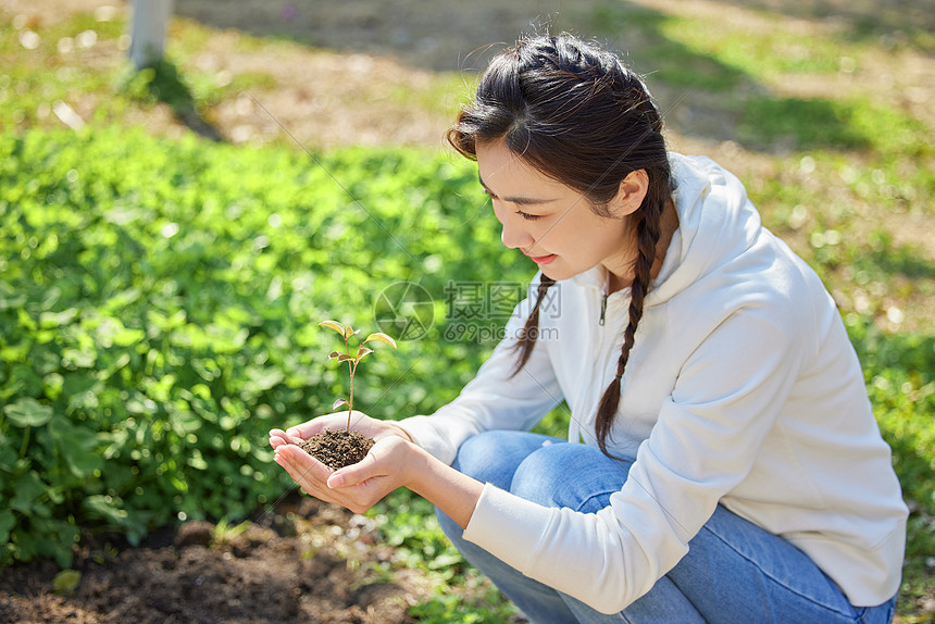 户外双手捧着小树苗的女性形象图片