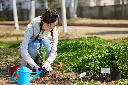 女性在户外进行种植作业形象图片