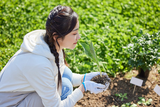 户外女性轻闻手中的花苗图片