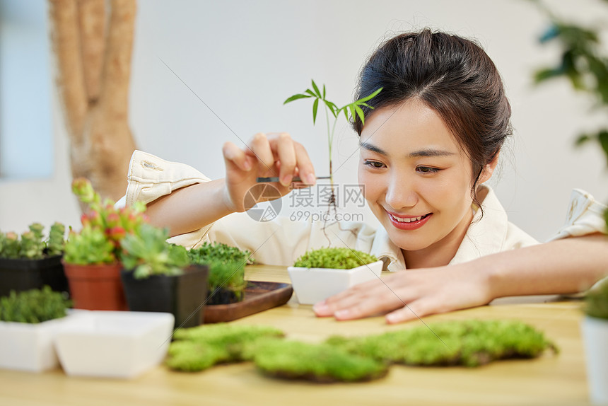 使用镊子制作盆栽的青年女性图片
