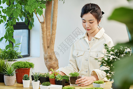 女性居家种植植物图片